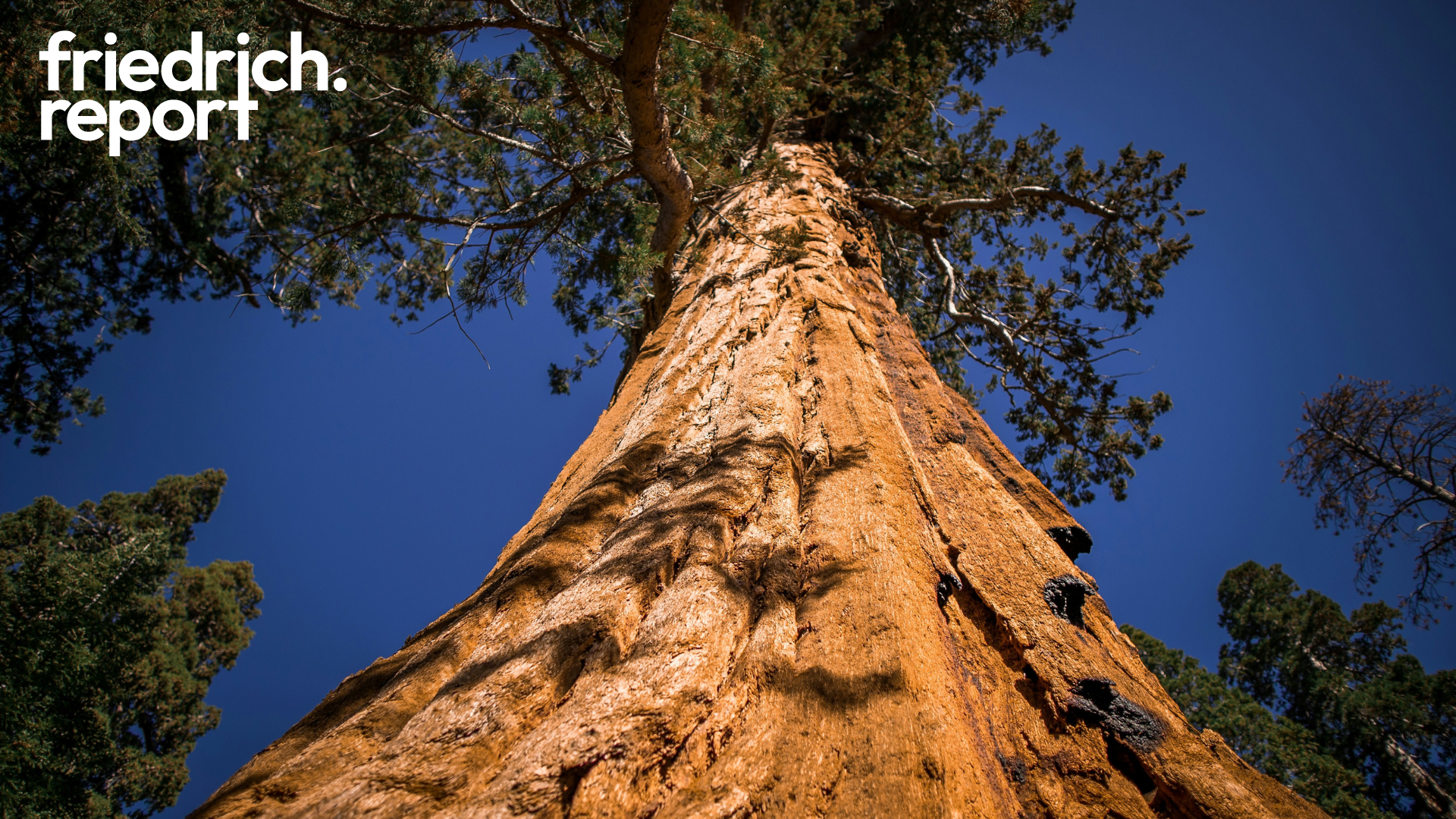 Der Franchise-Gigant